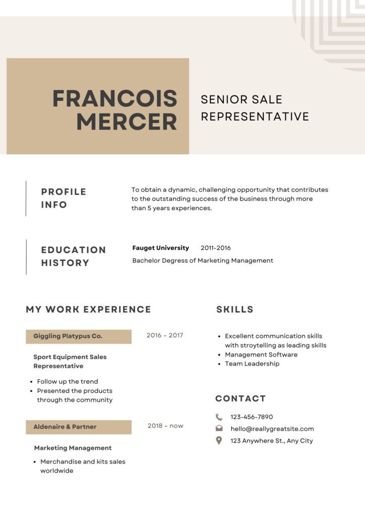 Executive Resume Template